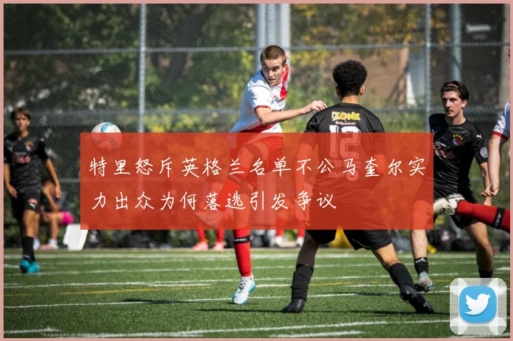 特里怒斥英格兰名单不公马奎尔实力出众为何落选引发争议