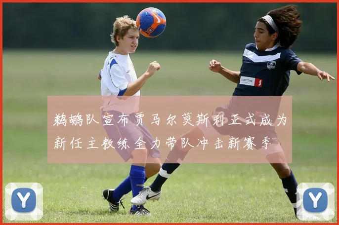 鹈鹕队宣布贾马尔莫斯利正式成为新任主教练全力带队冲击新赛季